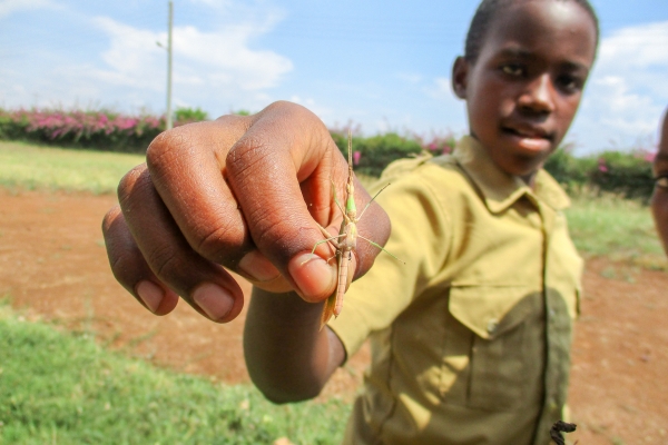 Tanzania's Future STEM Professionals